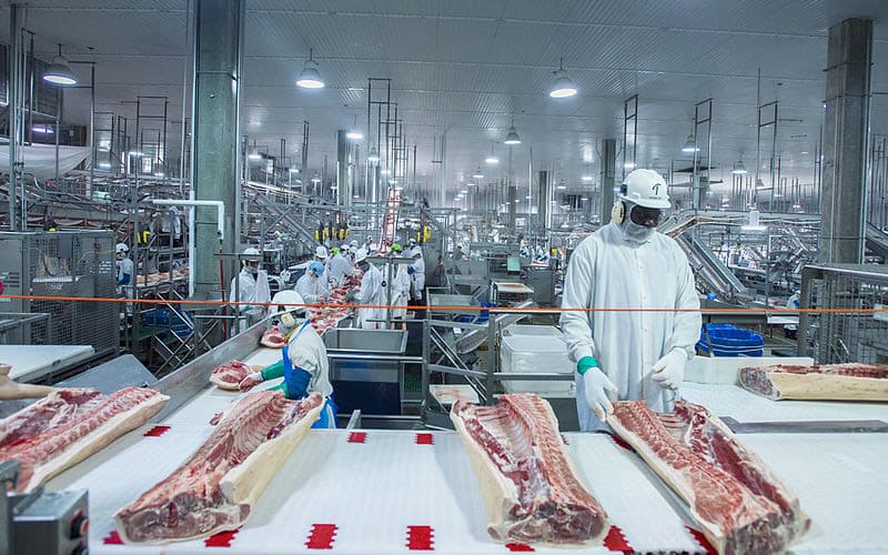 Food processing